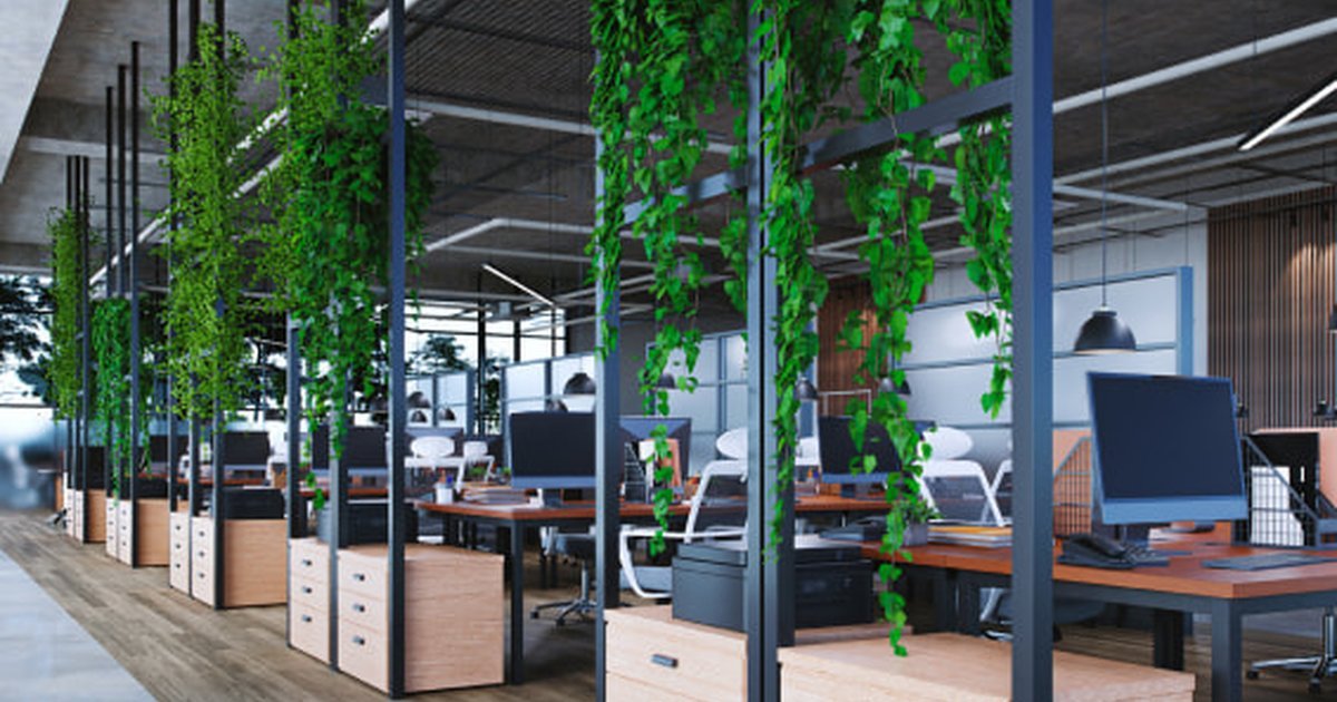 Biophilic Office Interior Design & Eco-Friendly Decor in Gandhinagar